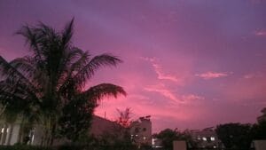 Top 5 Restaurant in Udaipur in 2026 | My Udaipur | City of Lakes