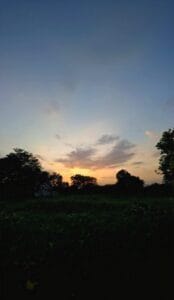 Udaipur Travel Budget Guide | My Udaipur