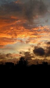 Top 3 Restaurant in Udaipur in 2026 | My Udaipur | City of Lakes