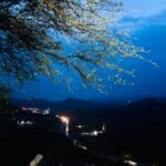 Sajjangarh Monsoon Palace Udaipur – Full History, Architecture, and Travel Guide (2026)